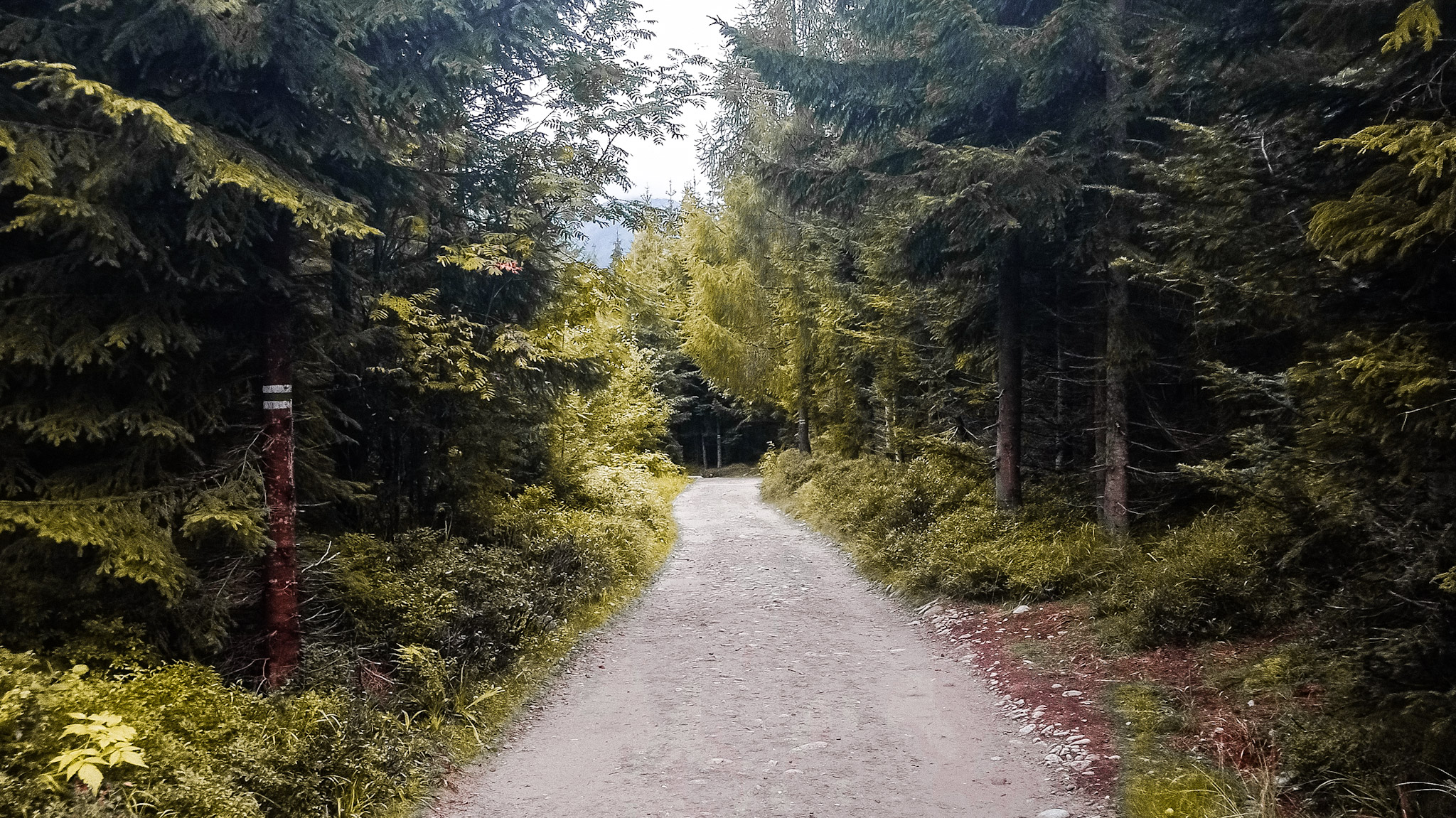Pierwszy raz w górach – wskazówki i porady